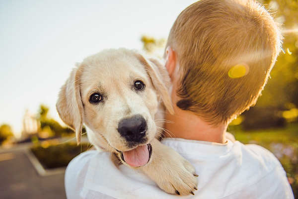 Pet Lovers Dating Dinner- HK Romance Dating HKRD - One Stop Speed Dating & Matching Service